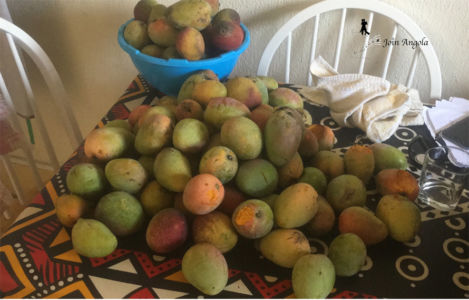 Mangos, a fruit Angolans love with all their hearts!